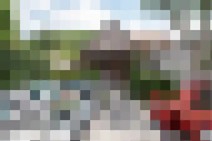 Bisschopstraat 56 Vollenhove thumbnail 34