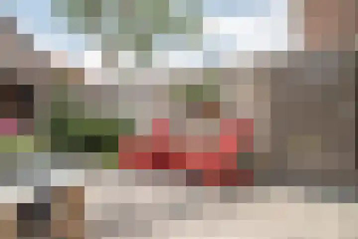 Bisschopstraat 56 Vollenhove thumbnail 35