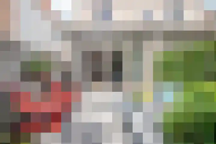 Bisschopstraat 56 Vollenhove thumbnail 36