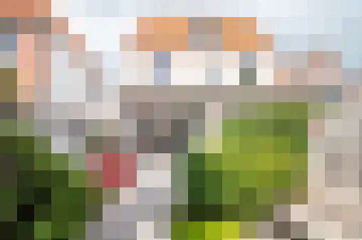 Bisschopstraat 56 Vollenhove thumbnail 38