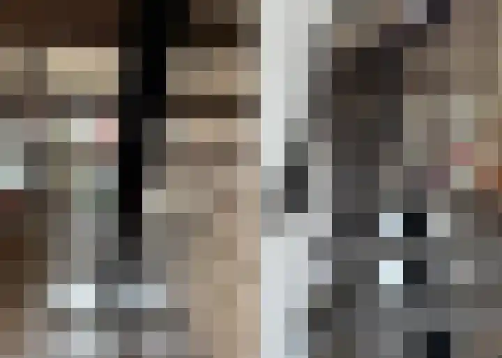 Bisschopstraat 56 Vollenhove thumbnail 39