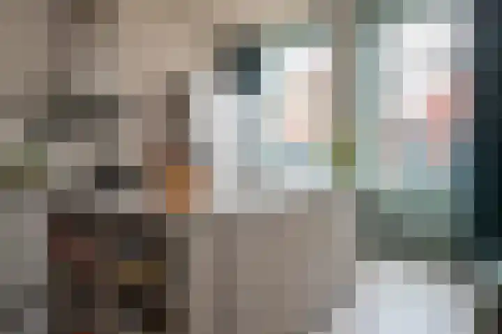 Bisschopstraat 56 Vollenhove thumbnail 4