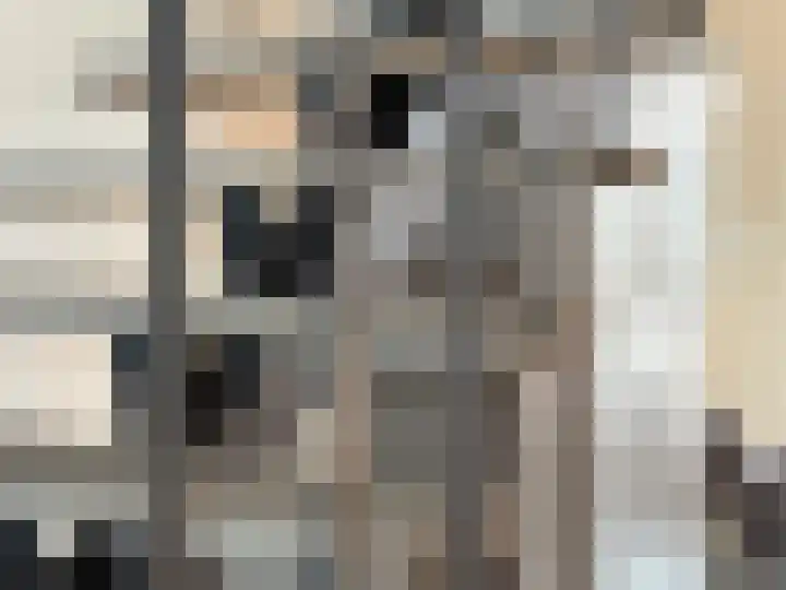 Bisschopstraat 56 Vollenhove thumbnail 41