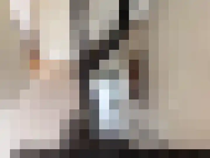 Bisschopstraat 56 Vollenhove thumbnail 43
