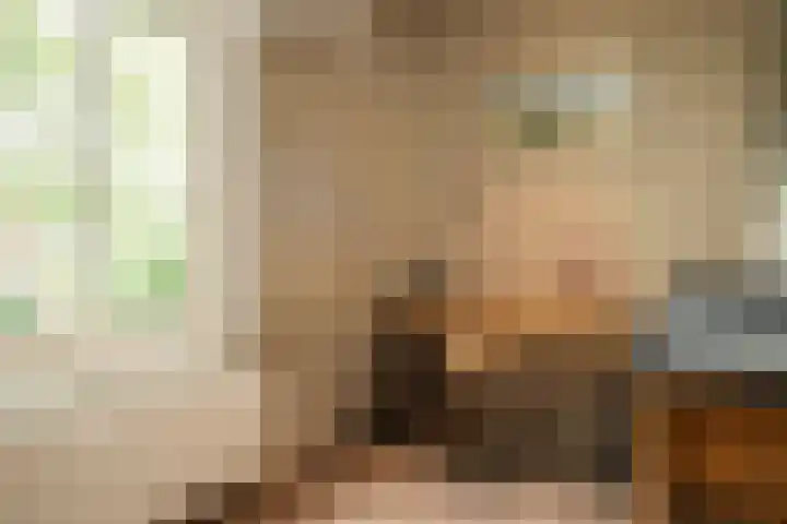 Bisschopstraat 56 Vollenhove thumbnail 52