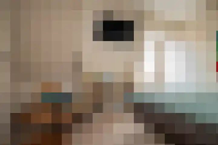 Bisschopstraat 56 Vollenhove thumbnail 61