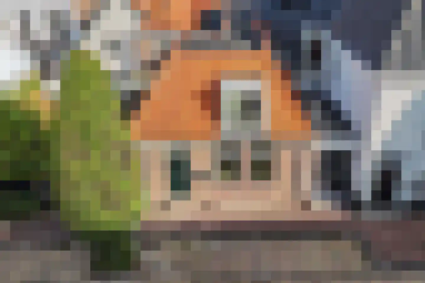 Bisschopstraat 71 a Vollenhove thumbnail 10