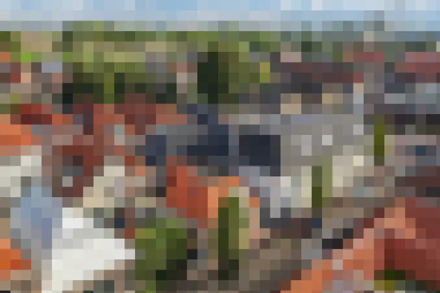Bisschopstraat 71 a Vollenhove thumbnail 16