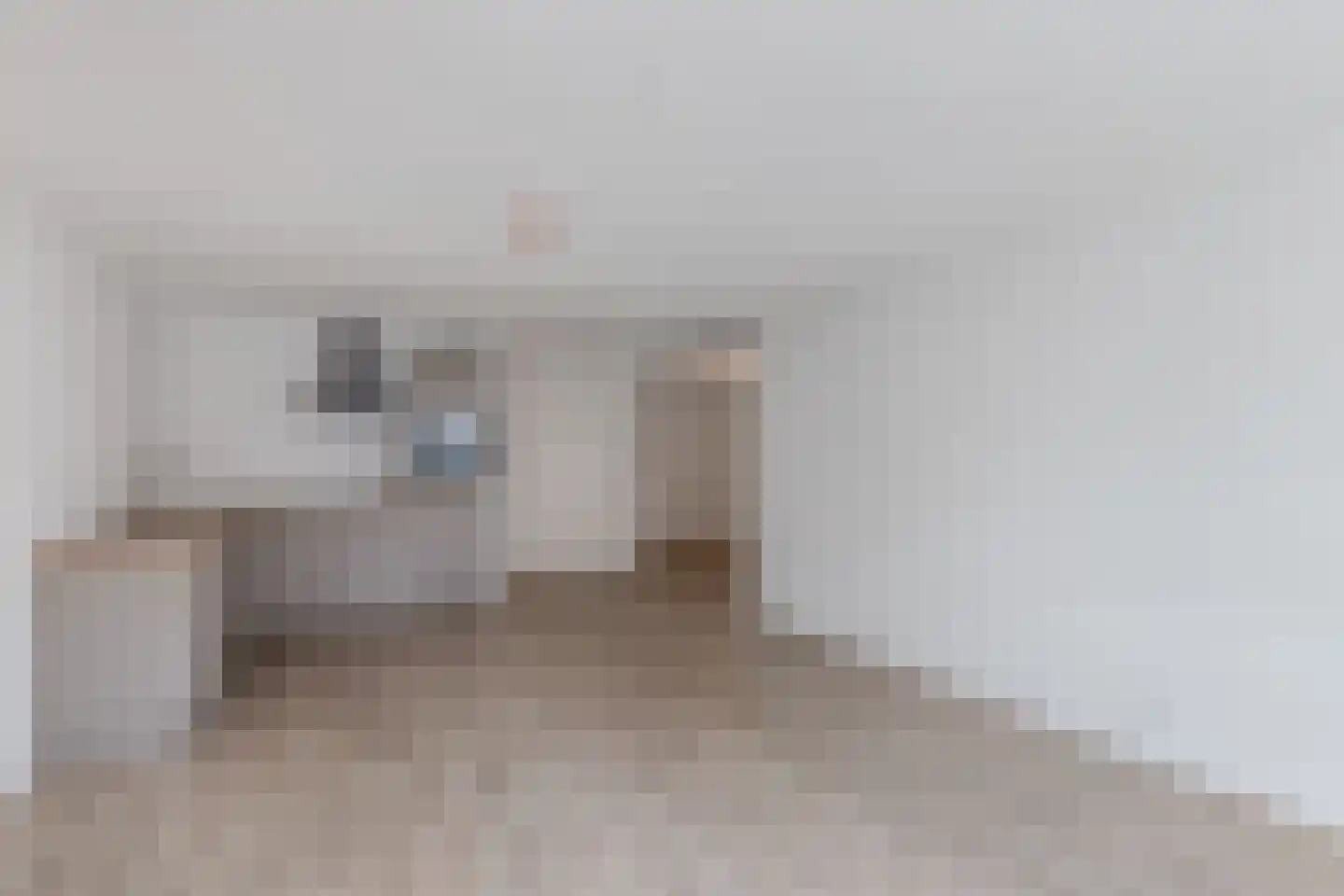 Bisschopstraat 71 a Vollenhove thumbnail 27
