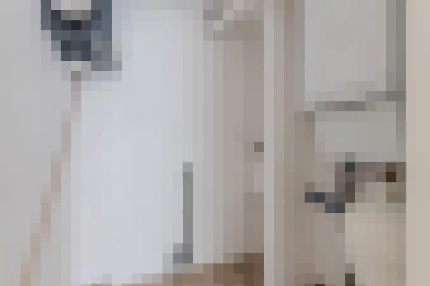 Bisschopstraat 71 a Vollenhove thumbnail 31
