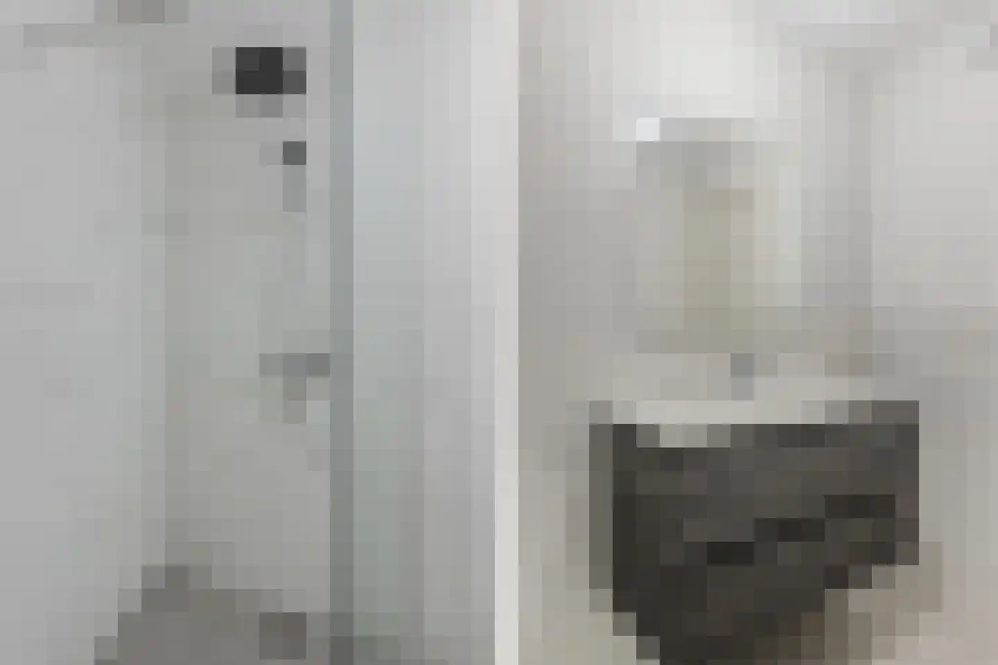 Bisschopstraat 71 a Vollenhove thumbnail 33