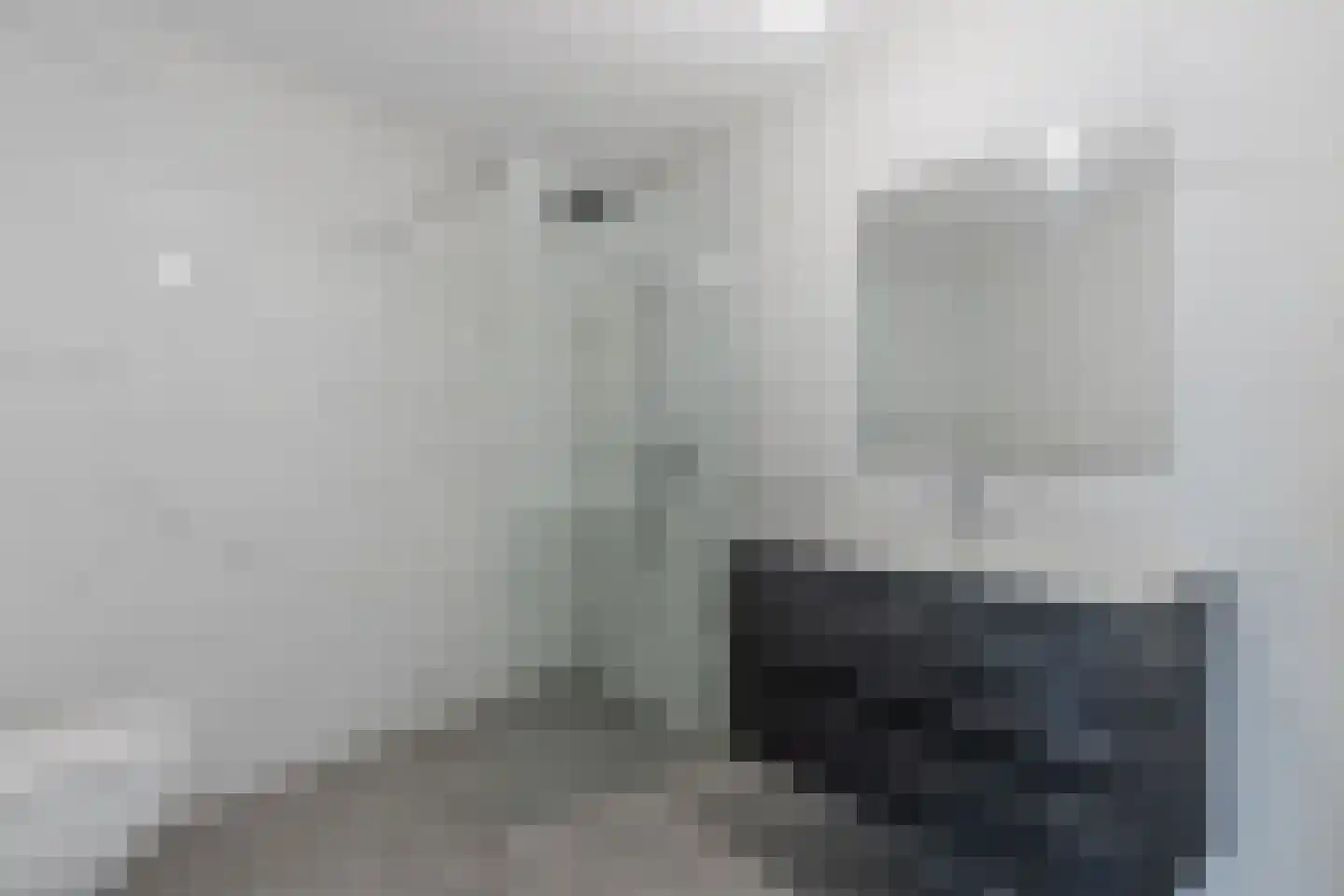 Bisschopstraat 71 a Vollenhove thumbnail 34