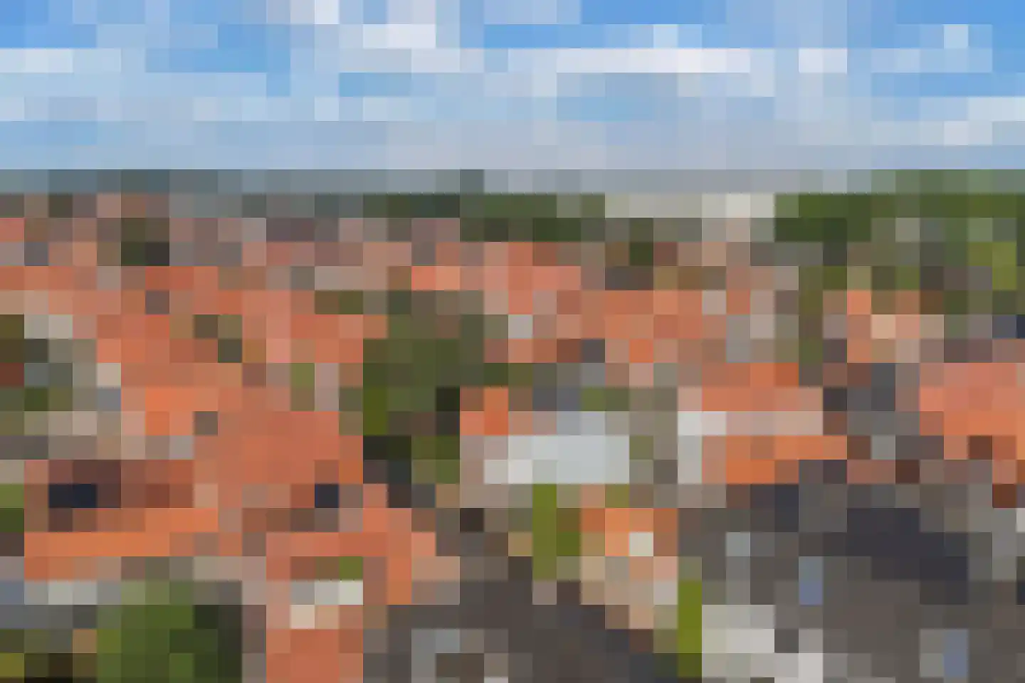 Bisschopstraat 71 a Vollenhove thumbnail 38