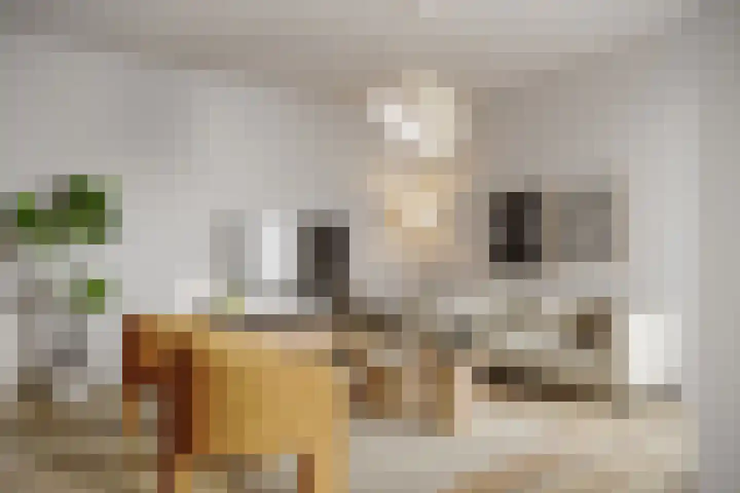 Bisschopstraat 71 A Vollenhove thumbnail 4