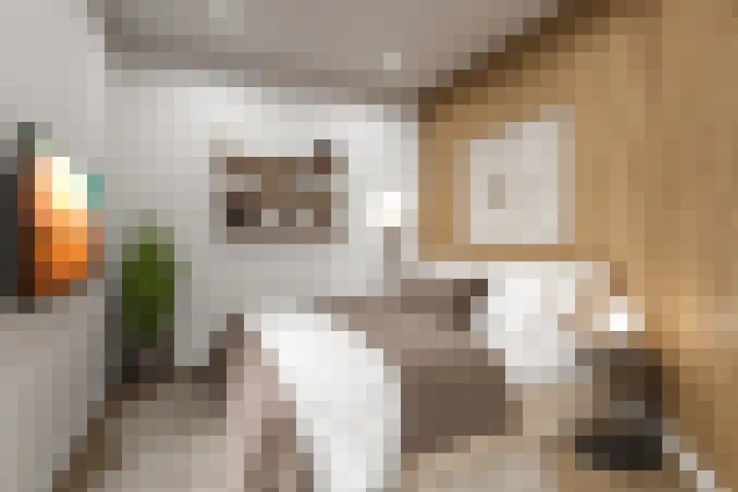 Bisschopstraat 71 A Vollenhove thumbnail 7