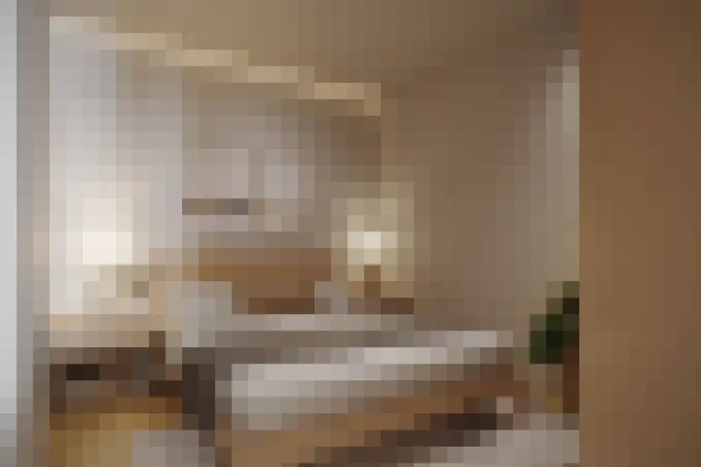 Bisschopstraat 71 A Vollenhove thumbnail 8