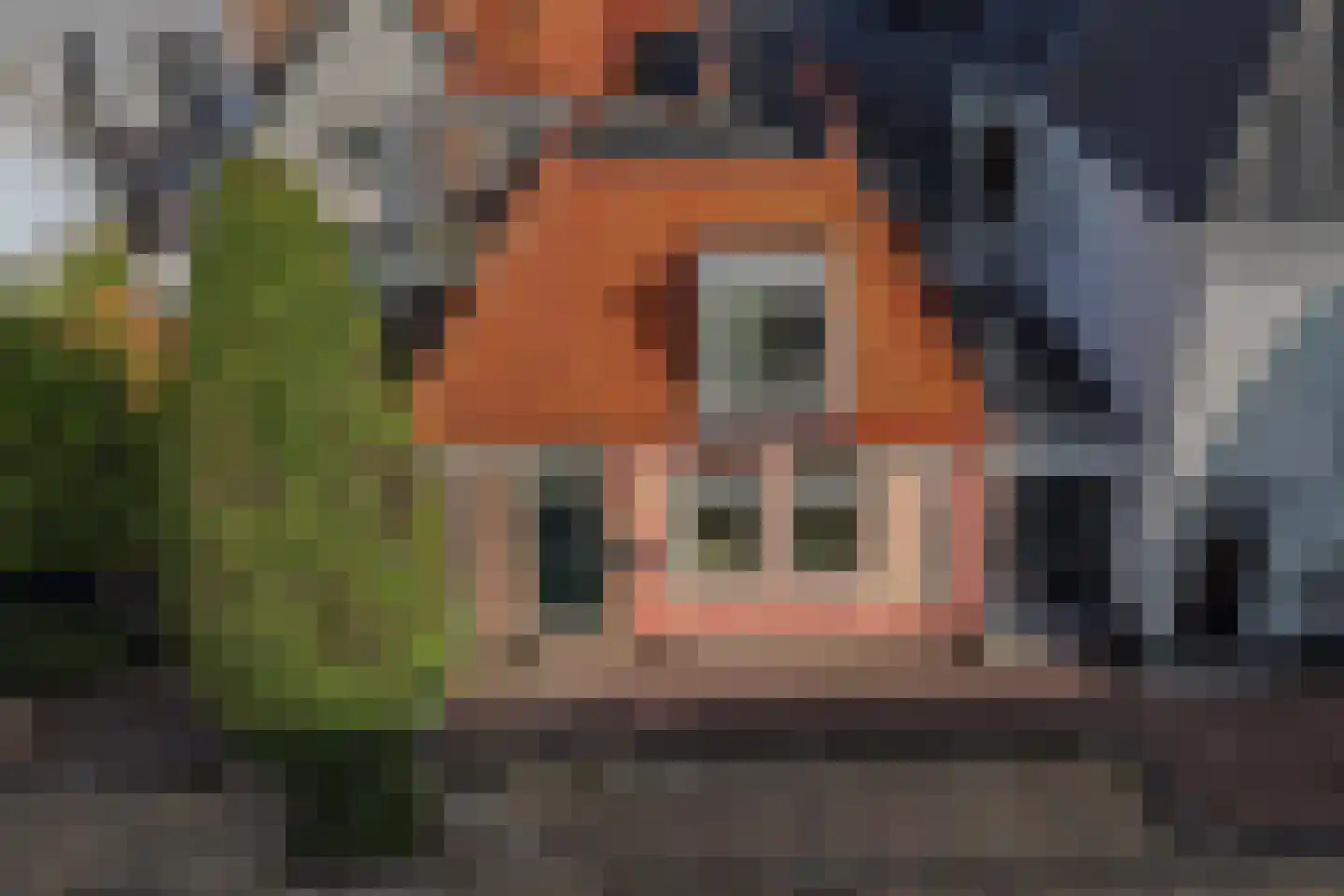 Bisschopstraat 71 a Vollenhove thumbnail 9