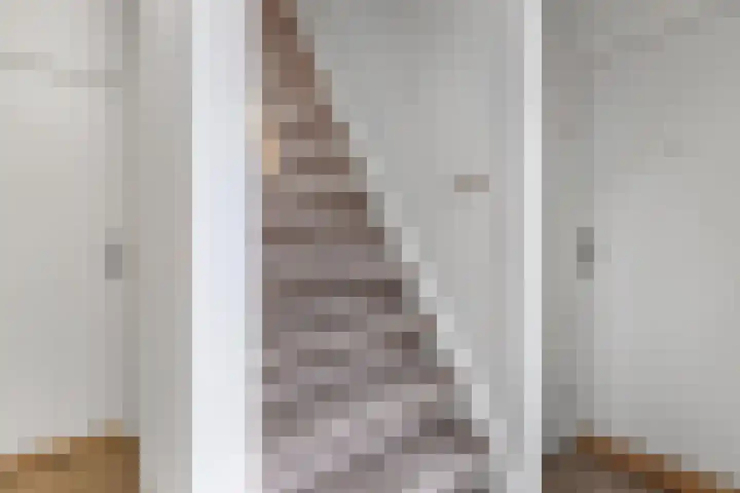 Bisschopstraat 71 Vollenhove thumbnail 12