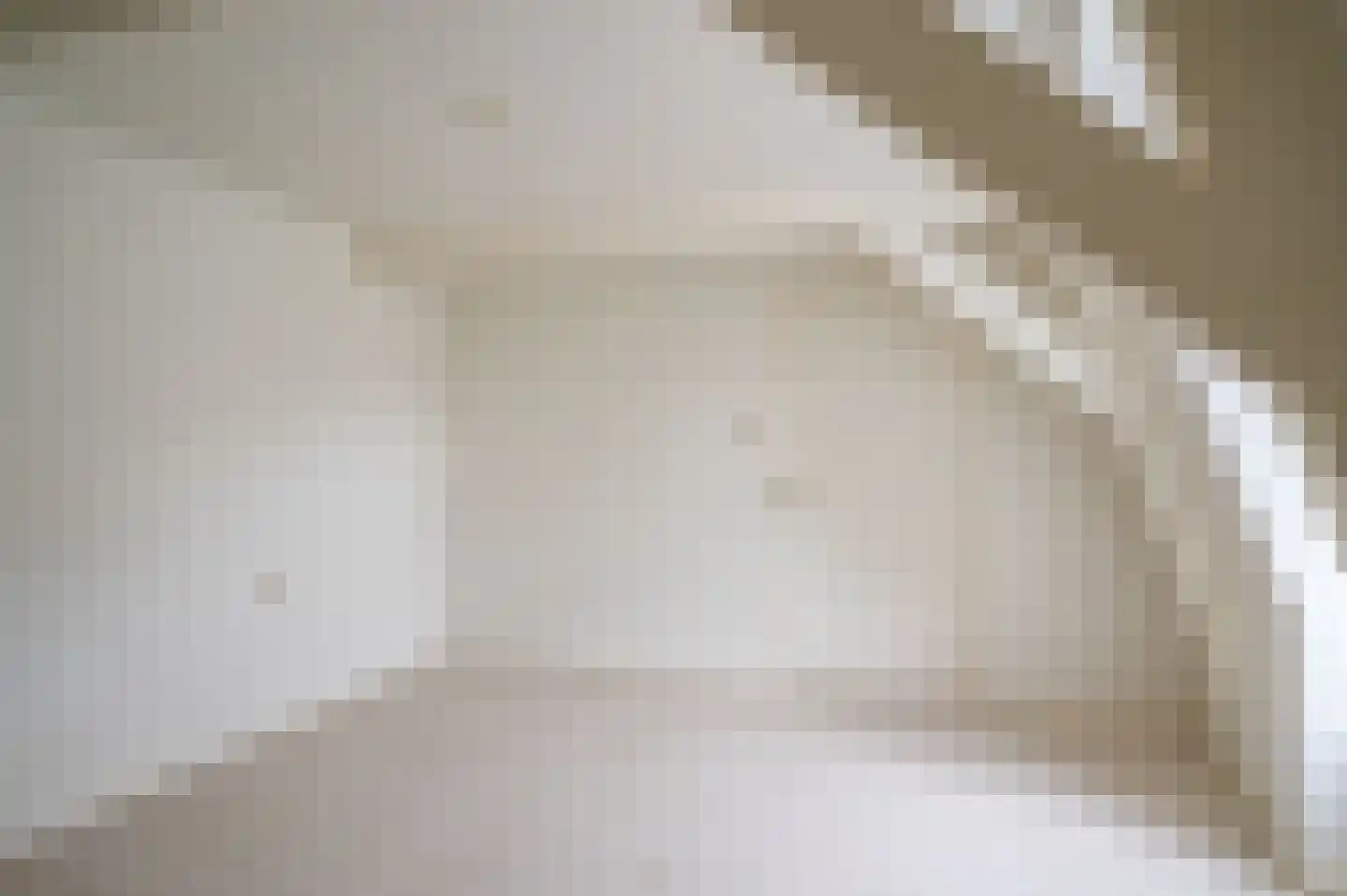 Bisschopstraat 71 Vollenhove thumbnail 13