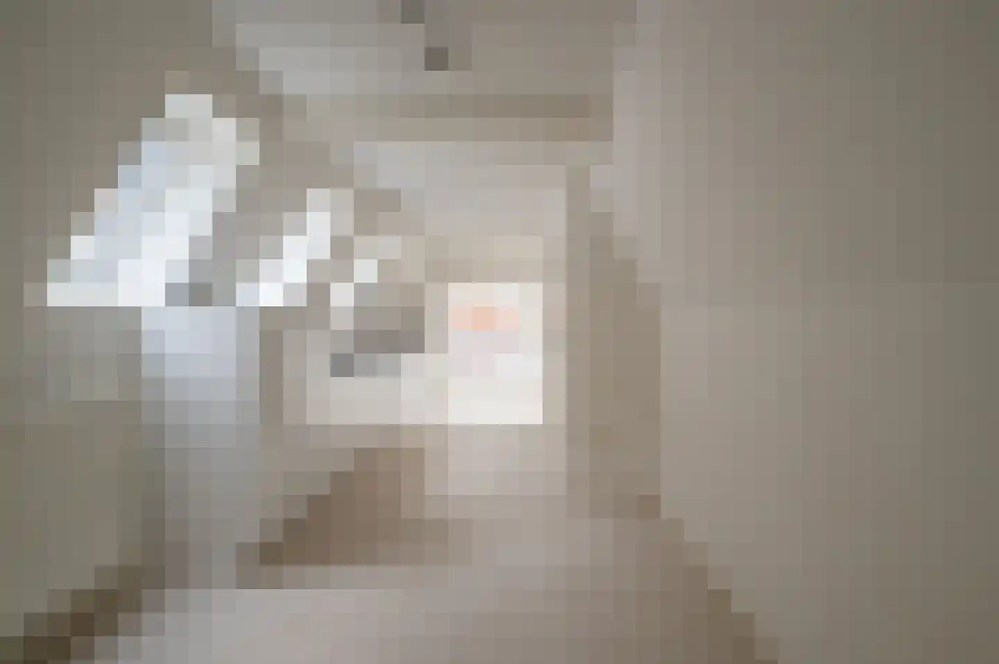 Bisschopstraat 71 Vollenhove thumbnail 16