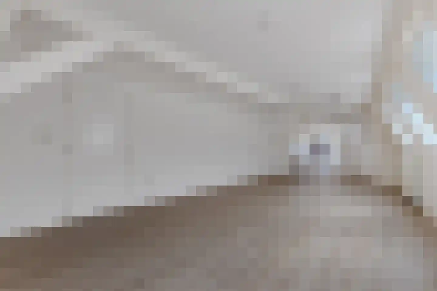 Bisschopstraat 71 Vollenhove thumbnail 16