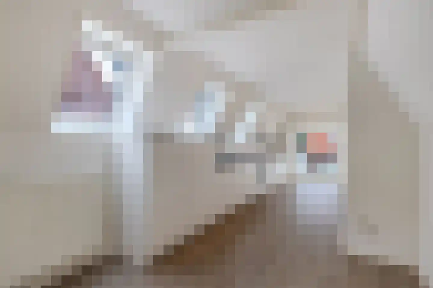 Bisschopstraat 71 Vollenhove thumbnail 17