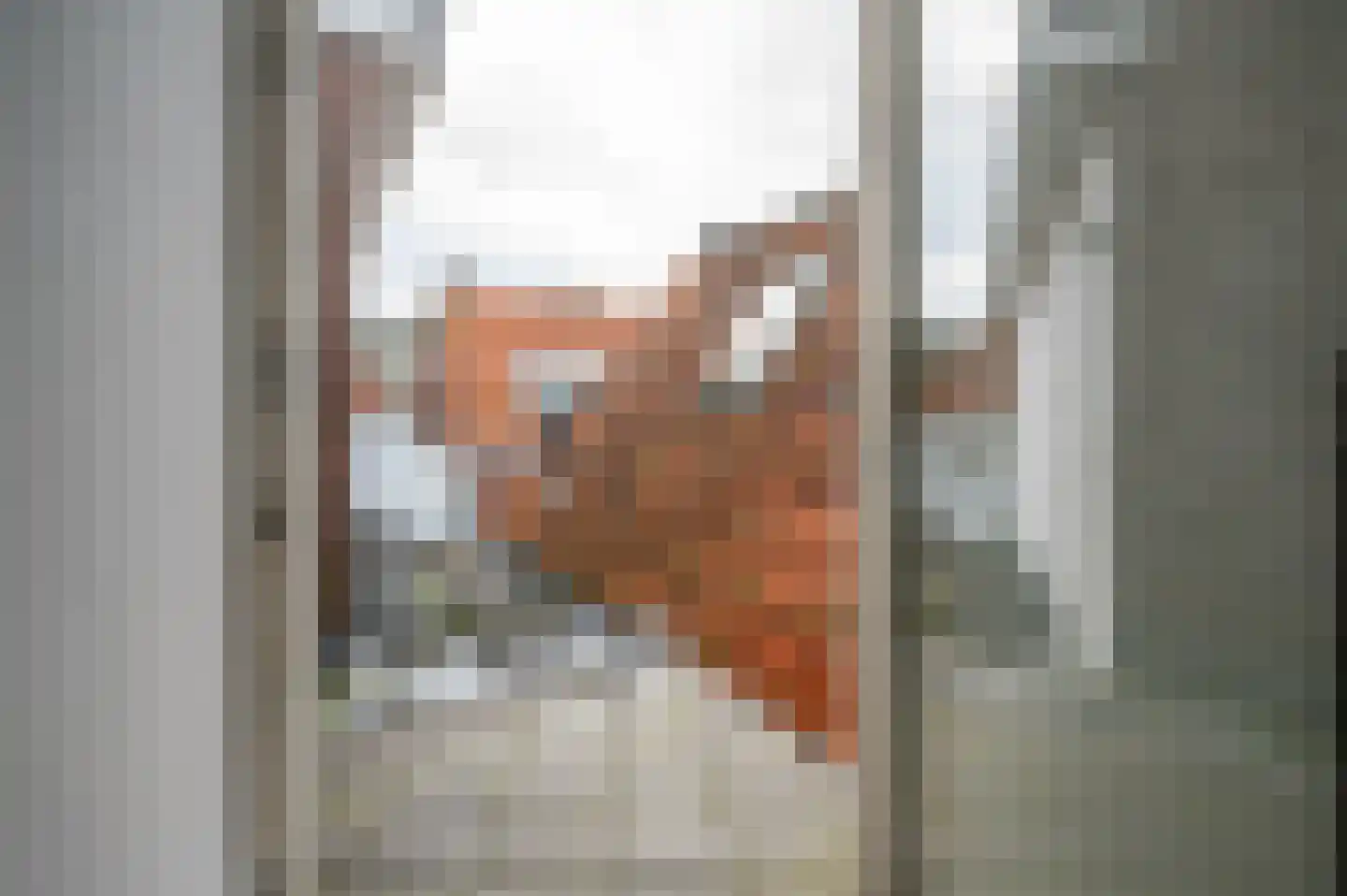 Bisschopstraat 71 Vollenhove thumbnail 17