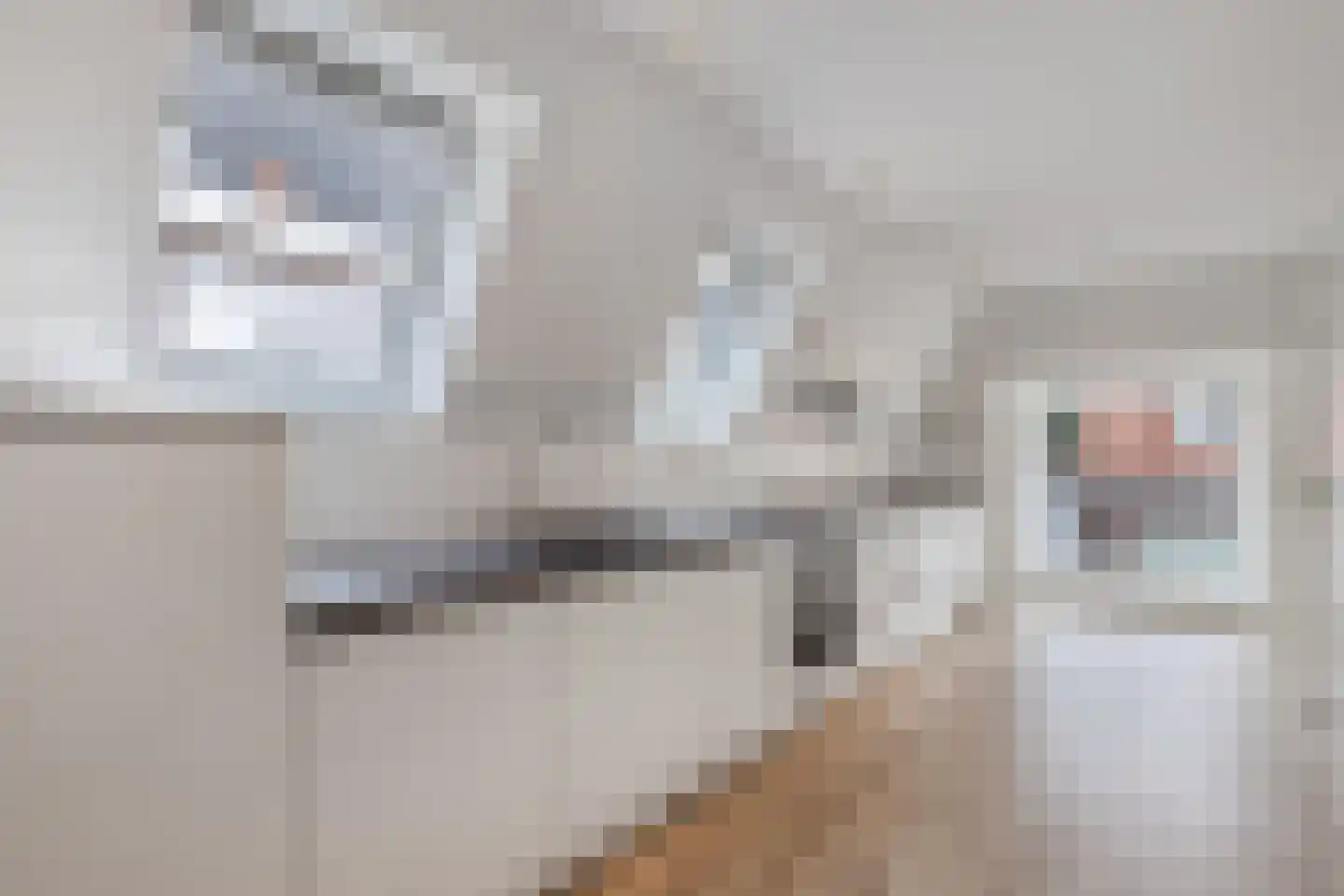 Bisschopstraat 71 Vollenhove thumbnail 18