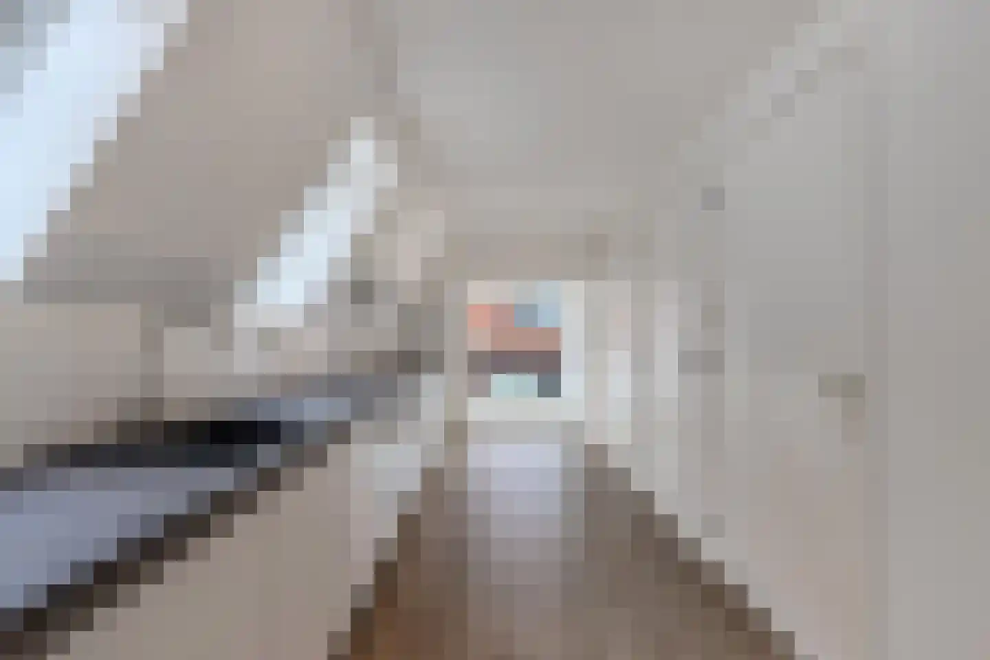Bisschopstraat 71 Vollenhove thumbnail 19
