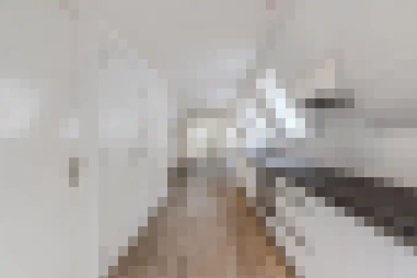 Bisschopstraat 71 Vollenhove thumbnail 21