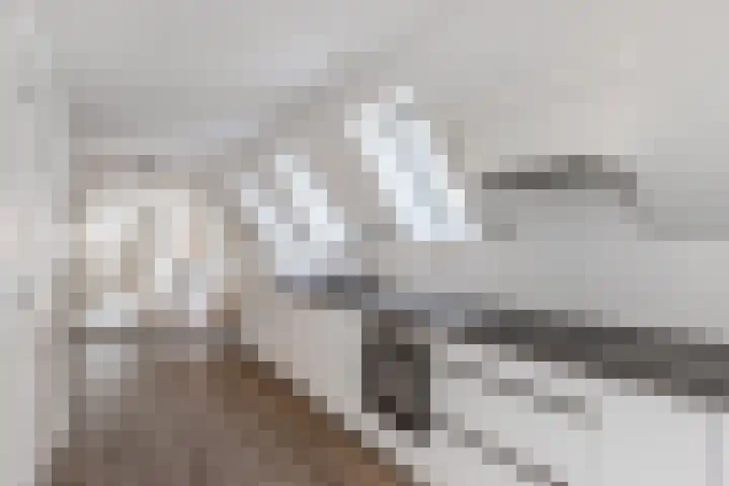 Bisschopstraat 71 Vollenhove thumbnail 22