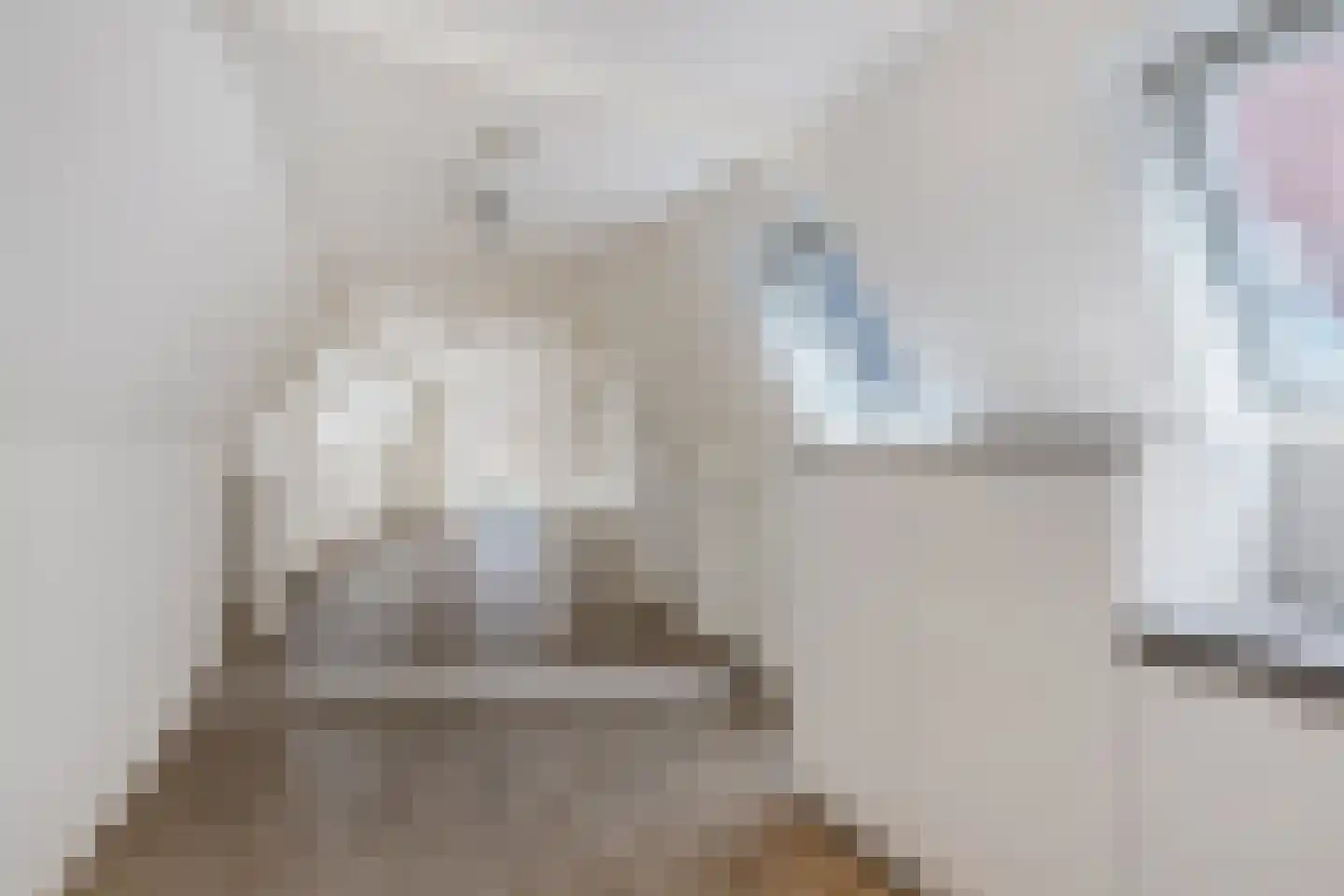 Bisschopstraat 71 Vollenhove thumbnail 23