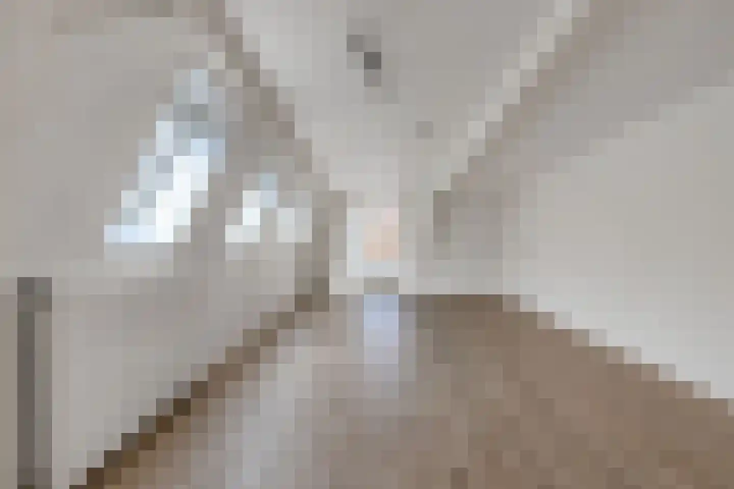 Bisschopstraat 71 Vollenhove thumbnail 25