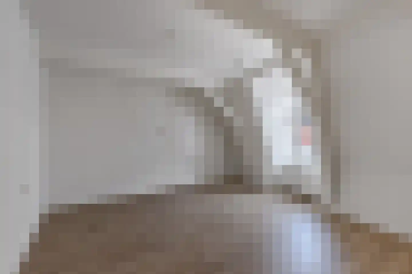 Bisschopstraat 71 Vollenhove thumbnail 27