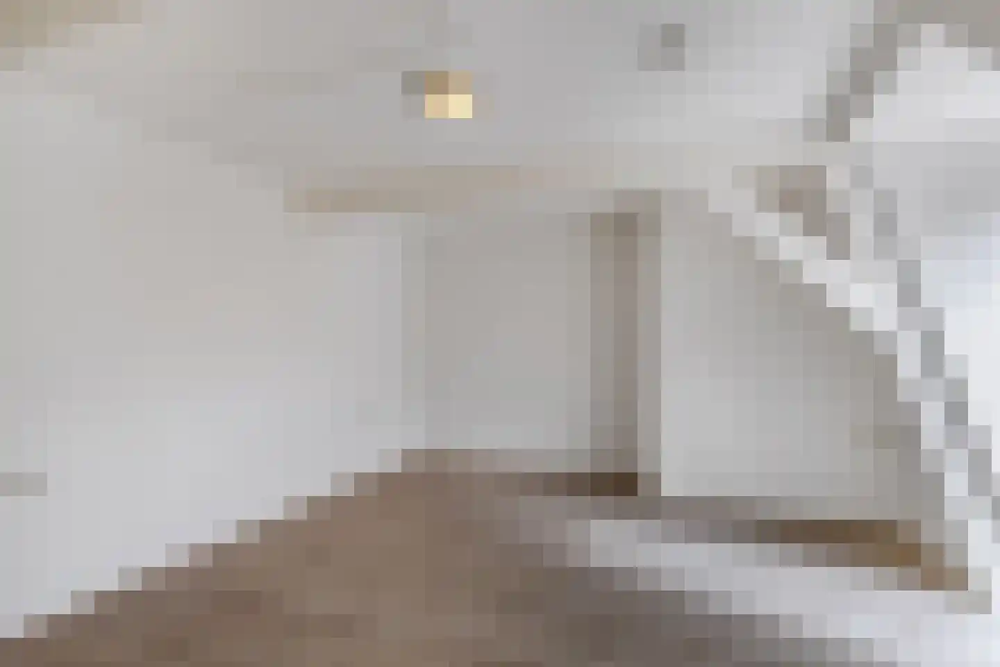 Bisschopstraat 71 Vollenhove thumbnail 28