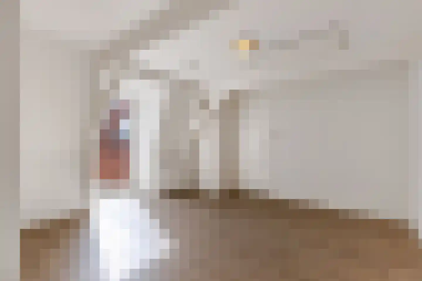 Bisschopstraat 71 Vollenhove thumbnail 29