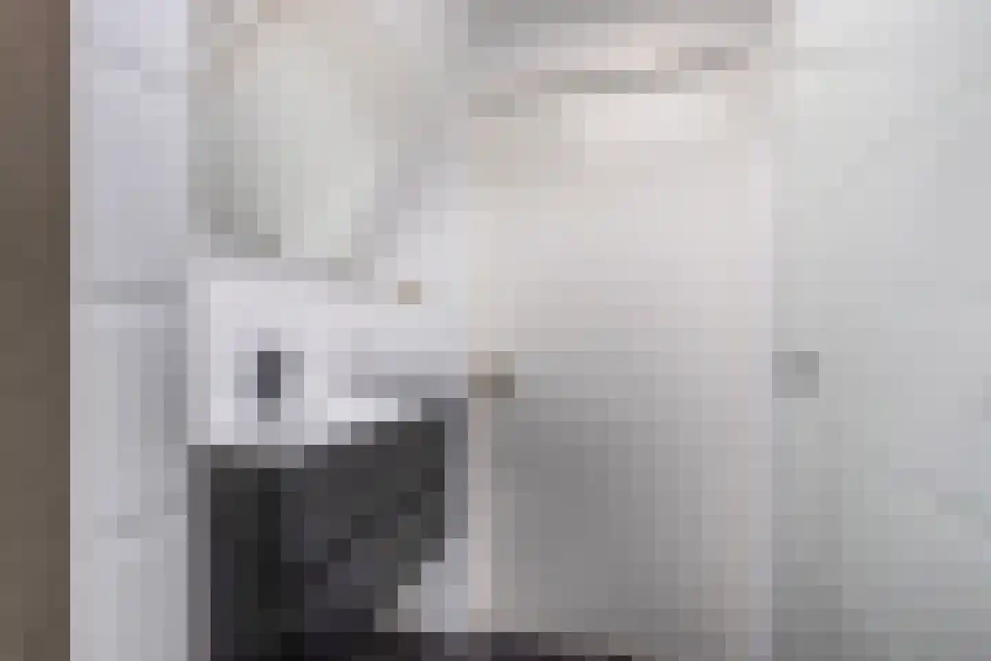 Bisschopstraat 71 Vollenhove thumbnail 34