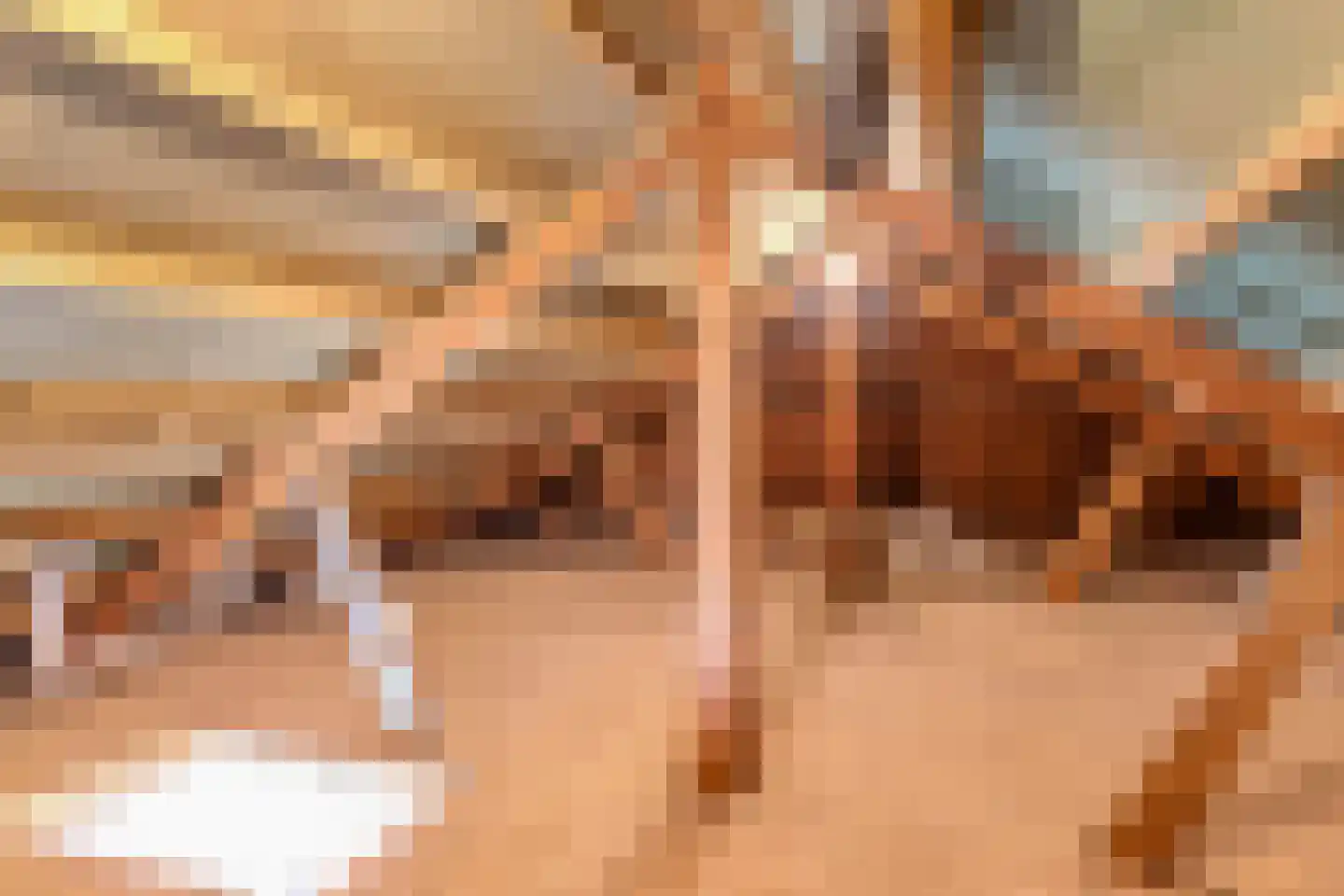 Bisschopstraat 71 Vollenhove thumbnail 35