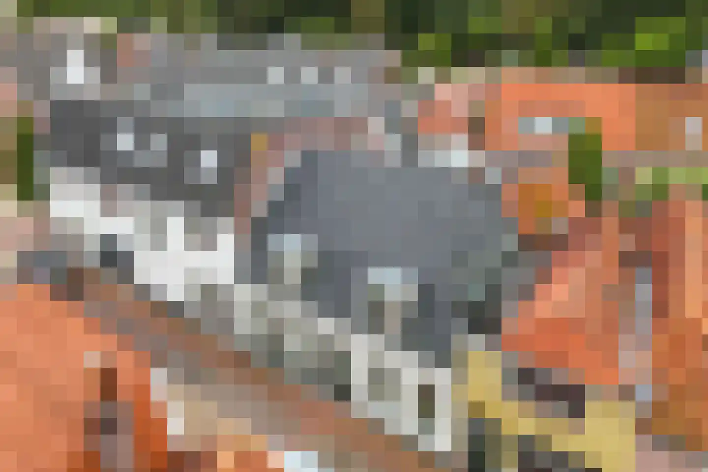 Bisschopstraat 71 Vollenhove thumbnail 44