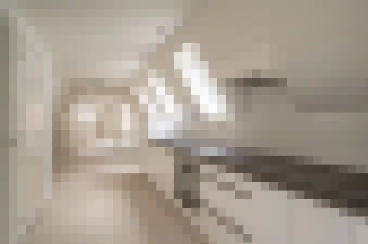 Bisschopstraat 71 Vollenhove thumbnail 5
