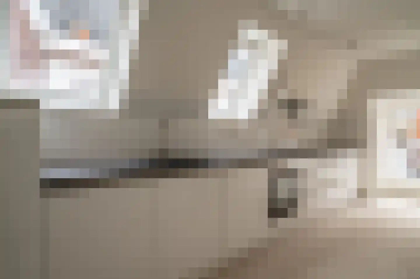 Bisschopstraat 71 Vollenhove thumbnail 6