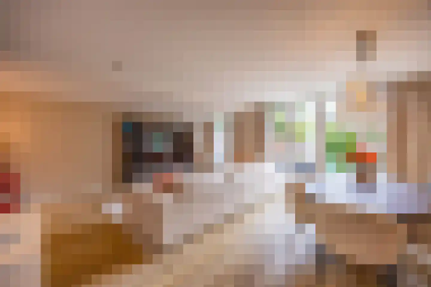 Bisschopswaarde 10 Laren thumbnail 11