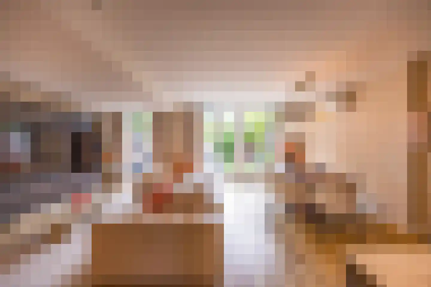 Bisschopswaarde 10 Laren thumbnail 12