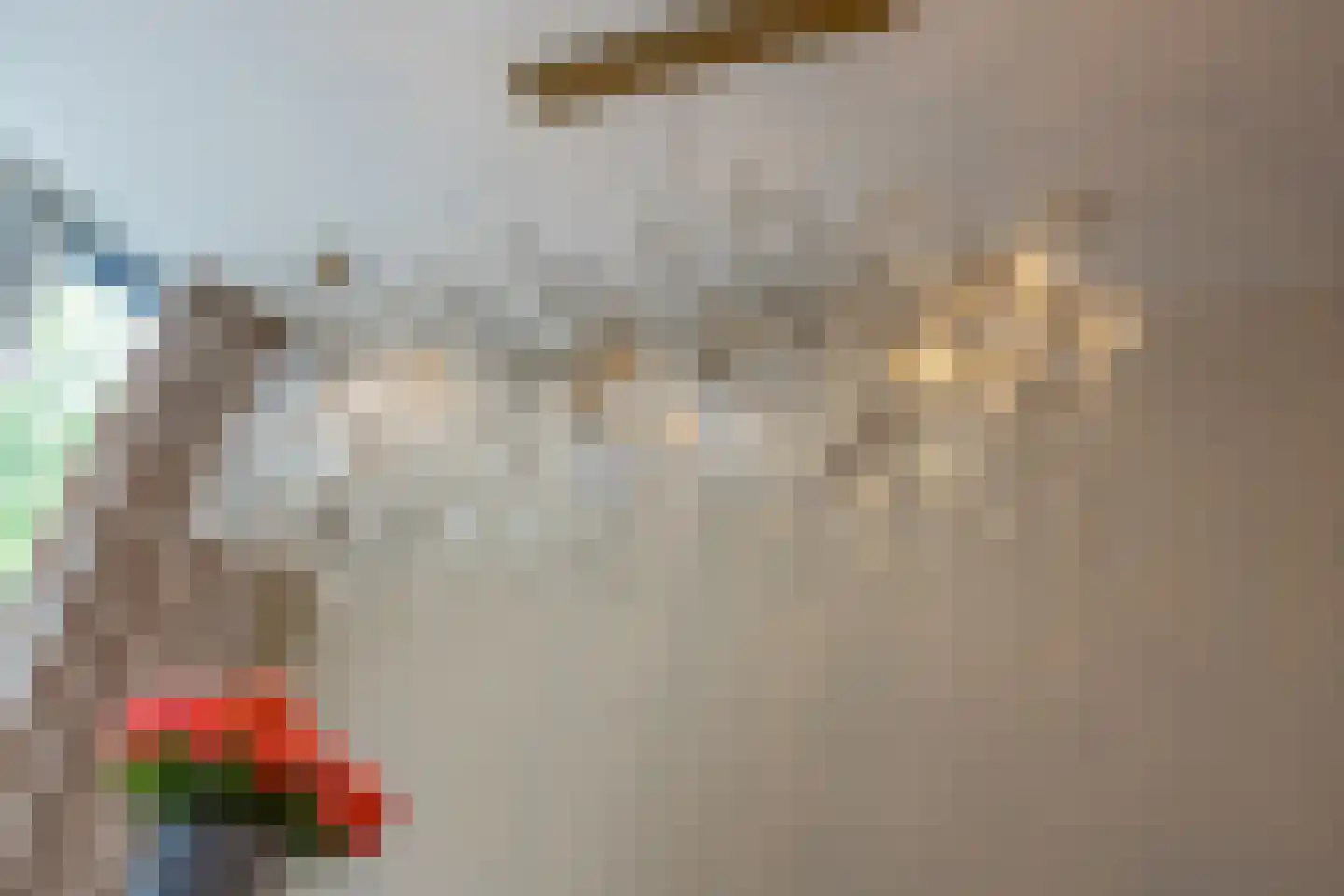 Bisschopswaarde 10 Laren thumbnail 19