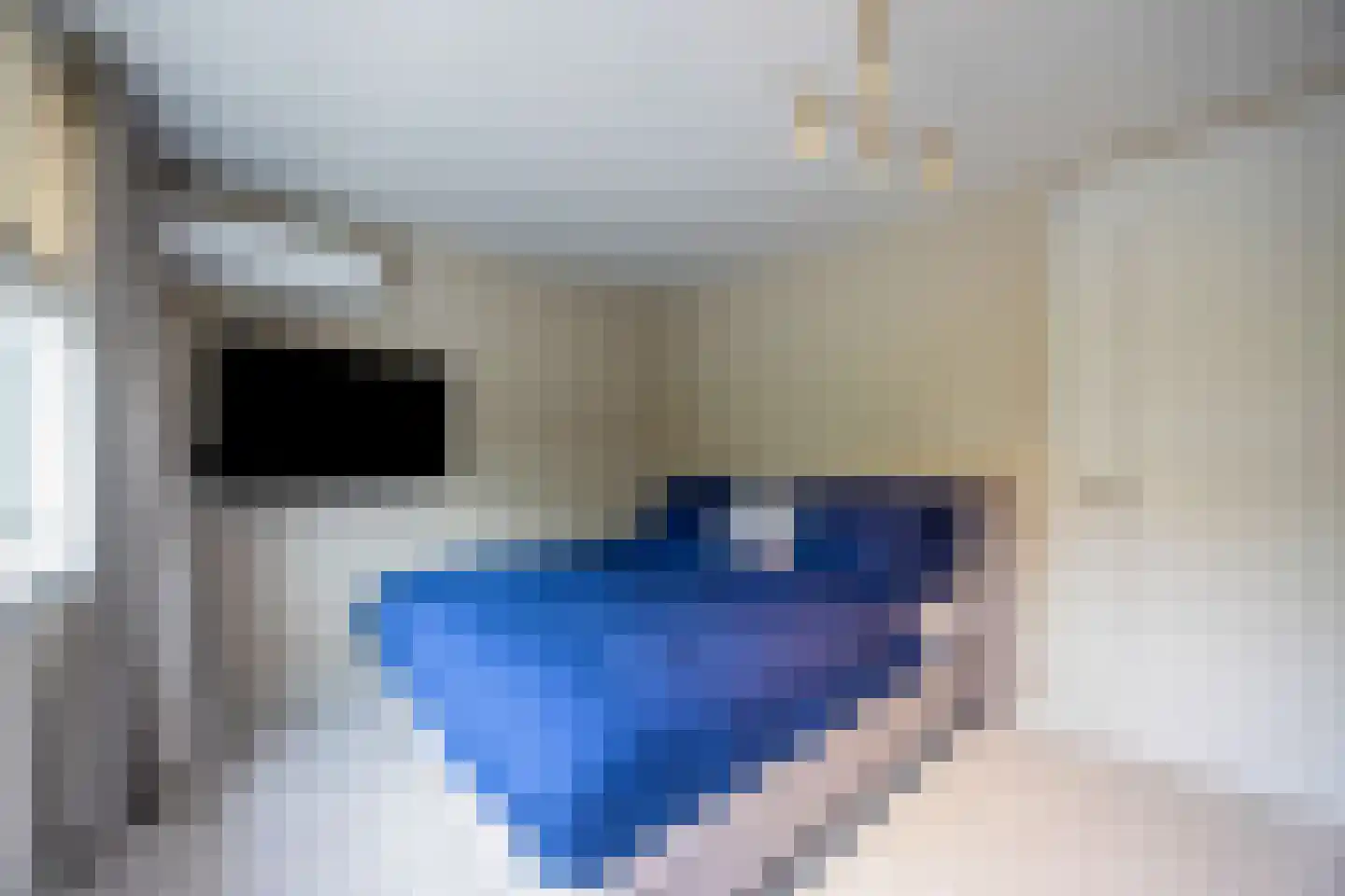 Bisschopswaarde 10 Laren thumbnail 24