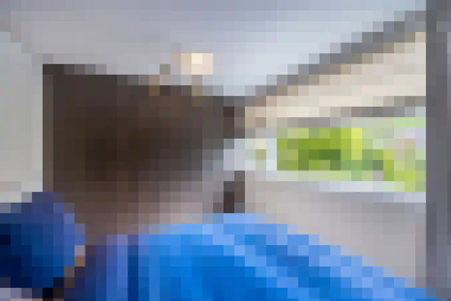 Bisschopswaarde 10 Laren thumbnail 25