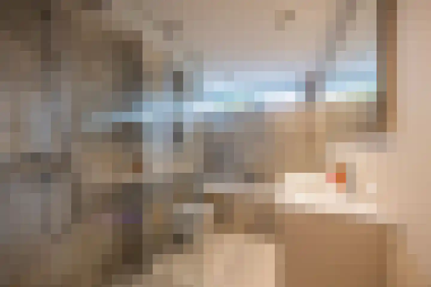 Bisschopswaarde 10 Laren thumbnail 27
