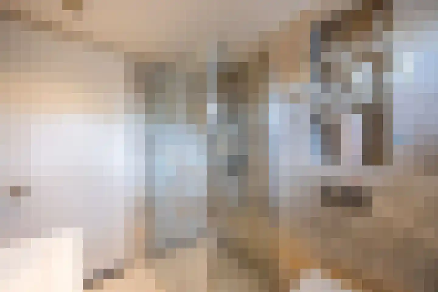Bisschopswaarde 10 Laren thumbnail 29
