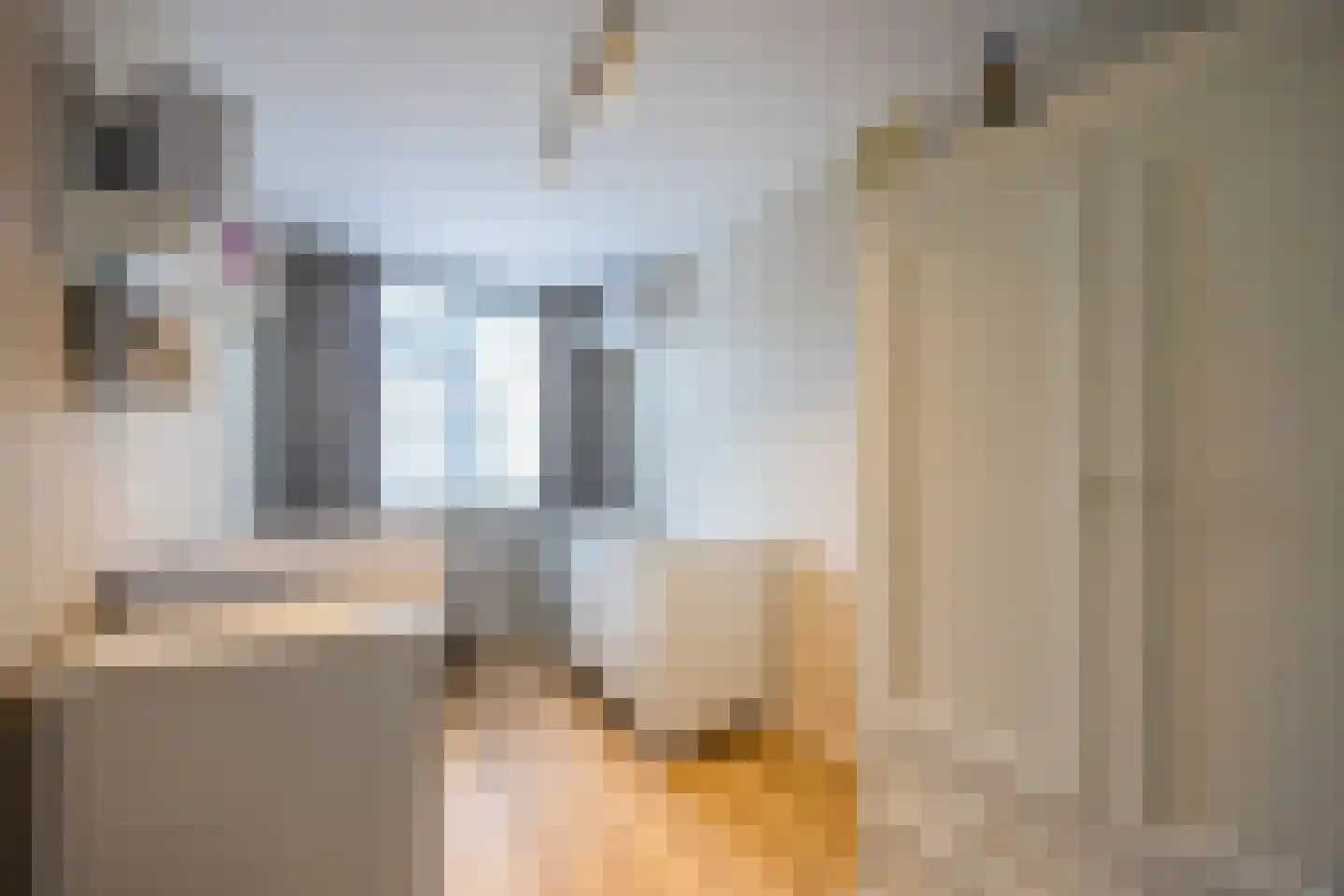 Bisschopswaarde 10 Laren thumbnail 31