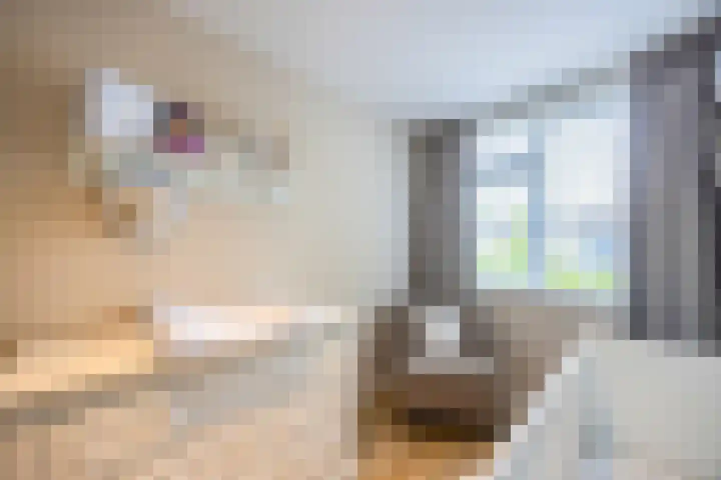 Bisschopswaarde 10 Laren thumbnail 32